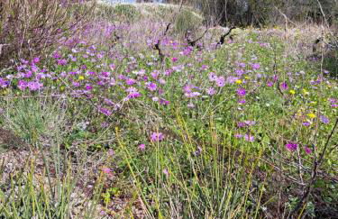 ΑΓΝΑΝΤΙΟ μεζονέτα 110 τ.μ. - Photo 36