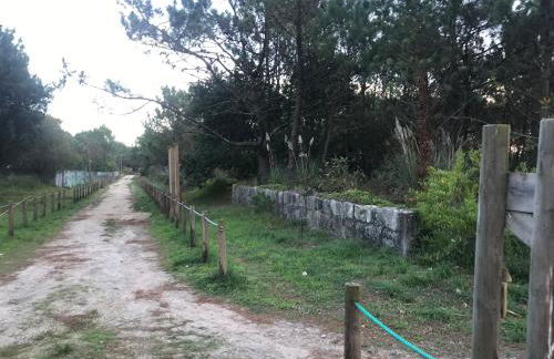 Árvore Cozy com Jardim - Foto 35