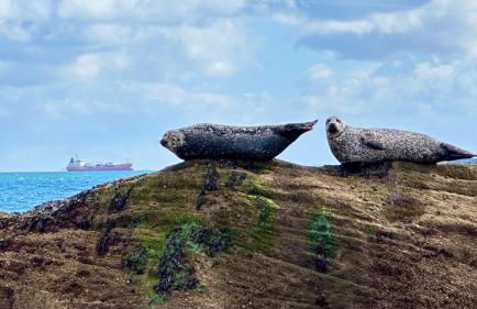 Luxury Seaside Home with Incredible Views - Foto 42