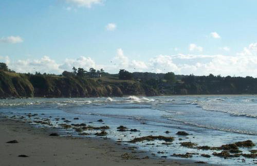 Le coin des hirondelles - Foto 19