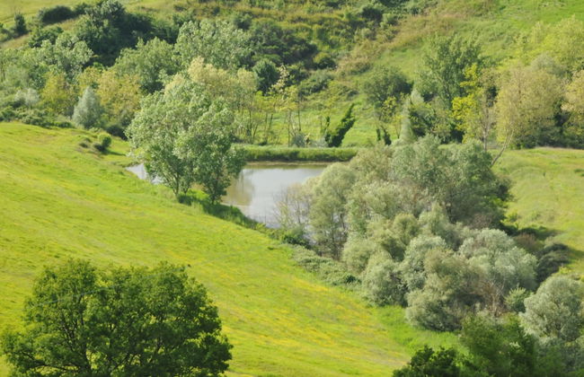 Agriturismo Monsole - Foto 31