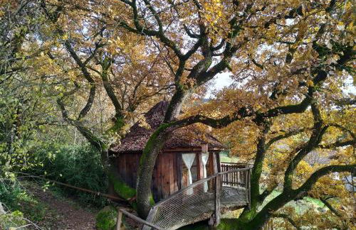 Agroturismo Mari Cruz - Foto 62