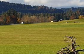 Appartment Huttenberg - Foto 9