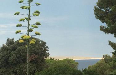 APARTMENT ŽUŽI Otok Silba Hrvatska - Foto 24