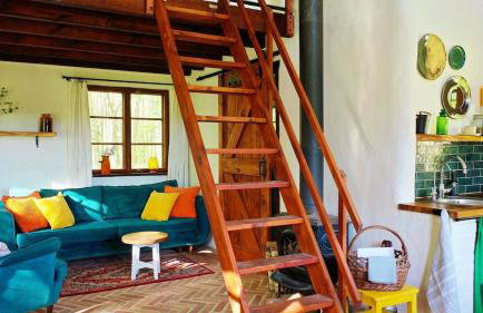 Siedlisko MiłoBrzózka - Photo 9