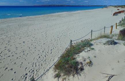 Es Baulo Pleta - Foto 48