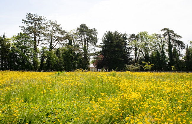 Brookhall Cottages - Foto 50