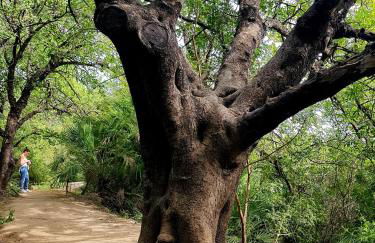 Marbella Holiday & Golf Garden Apartment - Photo 32