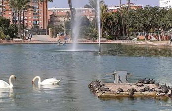 PARQUE DEL MEDITERRANEO - Photo 39