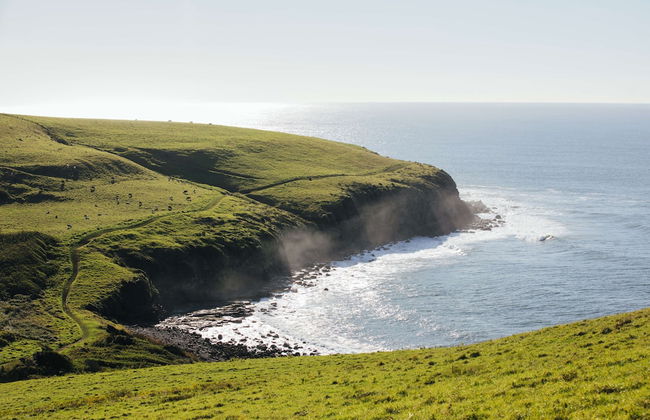 Ocean Farm - Foto 20