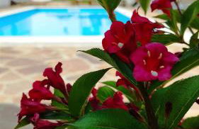 Villa "Pied-à-terre" Residence & Spa - Photo 17