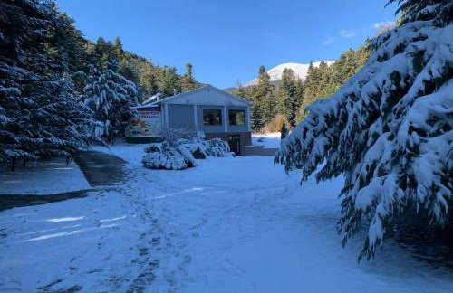 ECO VILLA OLYMPUS with sauna and swimming pool - Foto 46