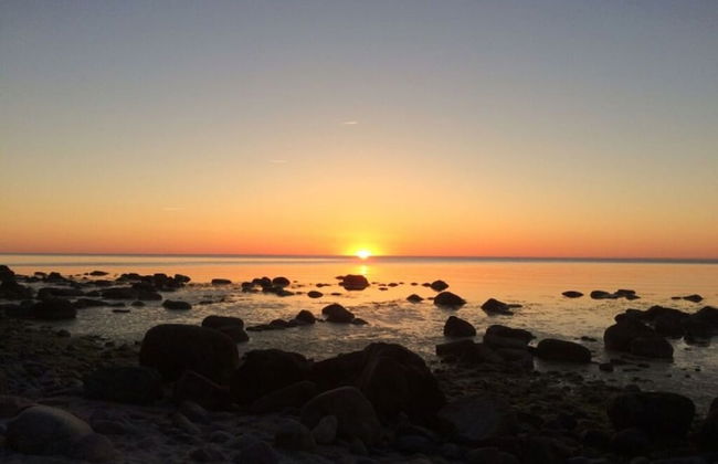 Red-throated Diver Modern Retreat - Foto 12