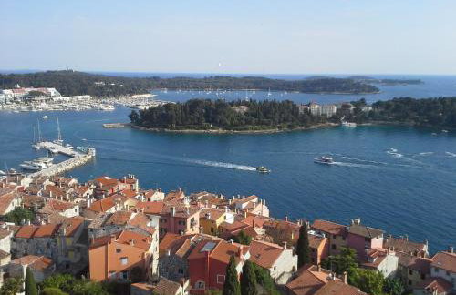 Apartment Asparagus - Photo 23