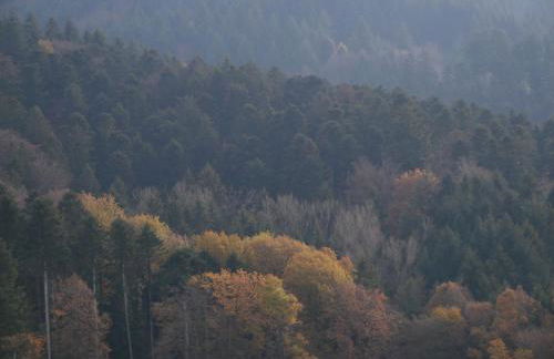 Haus Der Malerin Andrea Gawaz - Foto 10