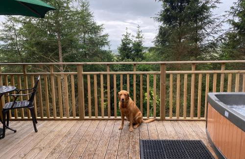 Conker Lodge with Hot Tub - Foto 13