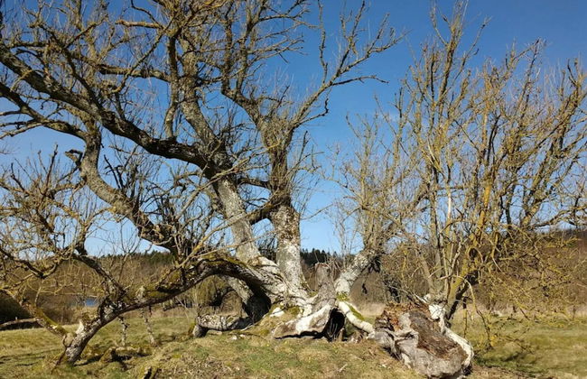 4 Person Holiday Home in Ans By - Foto 10