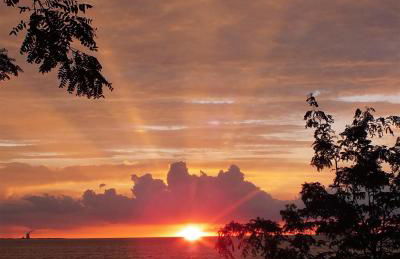 Put-in-Bay Island Club #6 - Foto 28