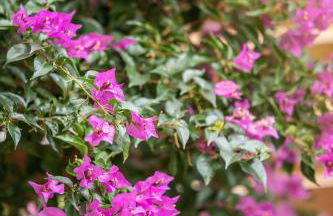 La Casa Del Sol Villa Aegina sea and Sunsets - Foto 64