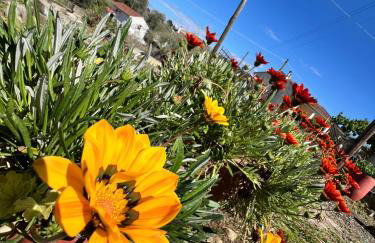 Kampos View - Foto 14