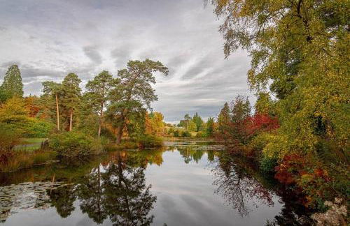 Cedar Cabin Overlooking Bedgebury Forest - Foto 14
