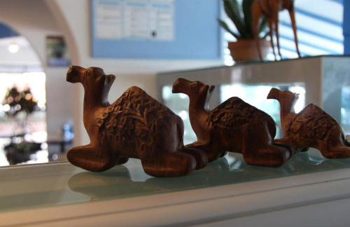 Oasi Azzurra - Foto 13