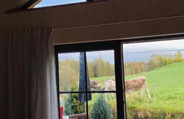 Die Schorenmoos-Lodge - Foto 26