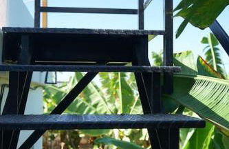 The Tortuga Banana House - Foto 12