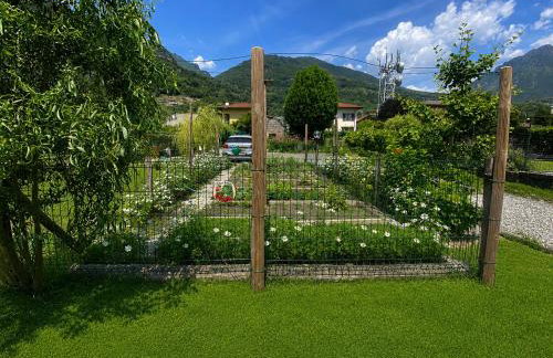 Il Giardino di Lilly with private parking garden and air conditioning - Photo 22