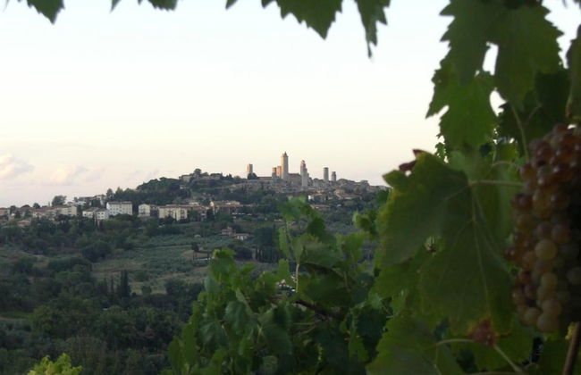 Agriturismo Il Casolare di Bucciano - Photo 34