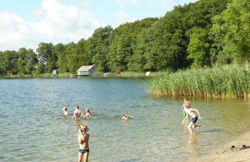 Ferienwohnung am Dümmer See - Foto 1