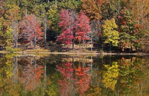 Susu's-I-Luxurious 2 Bedroom 2 Bath Apartment - Foto 42