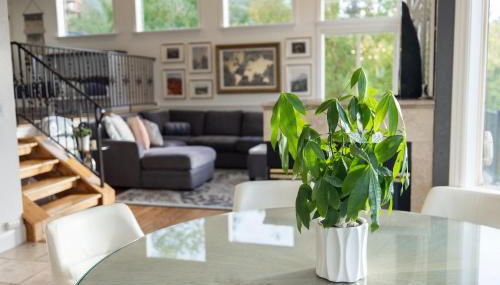 Within minutes to Ski Resorts and fireplace - Foto 4