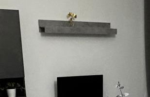 Le magnolie - Foto 7