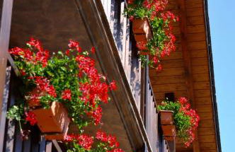 Casa Montse - Photo 39