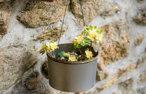 Cantinho do Lúcio - Foto 8