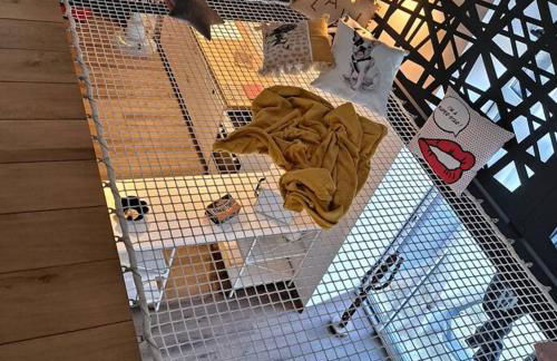 L'Atelier Gîte-Loft 6/8 pers - Photo 7