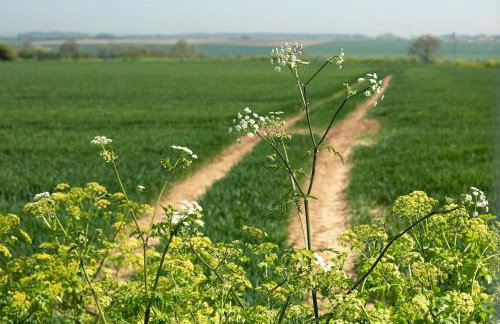 The Annexe at Hilliers - Photo 12