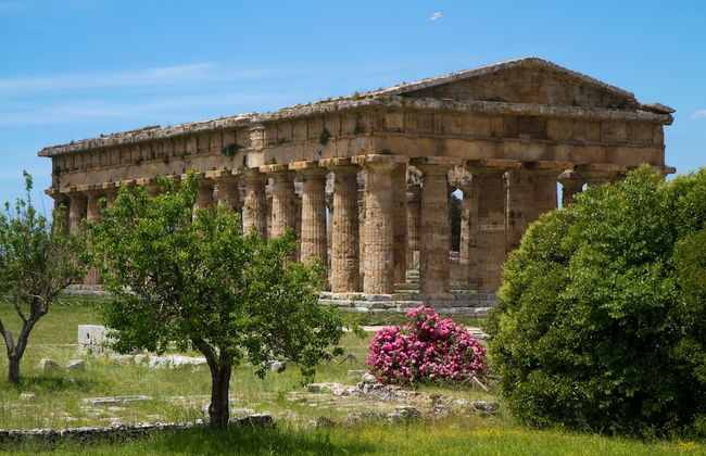 Ecolodge Selvitelle - Sustainable Retreat Amidst Olive Groves in Cilento - Photo 19