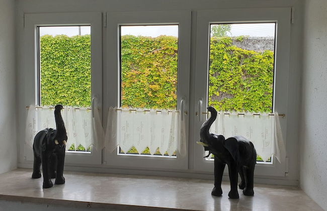 Tobetour 1 - Photo 8