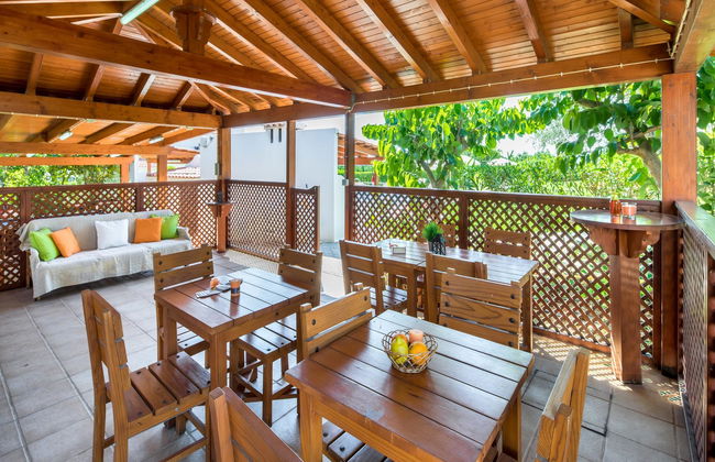 Flor da Laranja - Foto 47