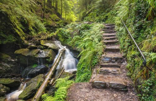 6 Deercroft Lodge - Foto 20