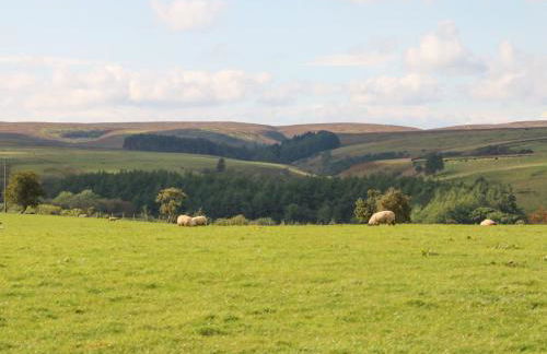 The Barn Cottage - Foto 29