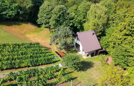 The Cozy Chalet - Foto 51