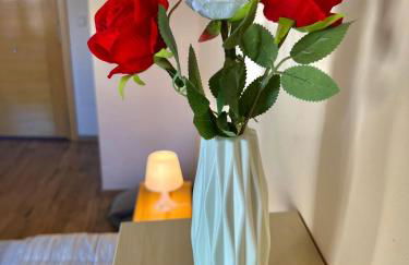 Apartamento en Centro de Segovia - Foto 12