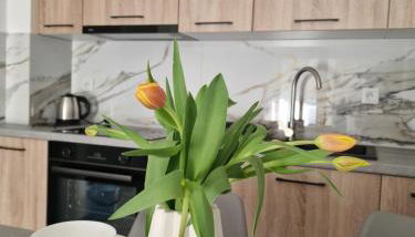 Apartament Jagiełły Park Olsztynek - Foto 3