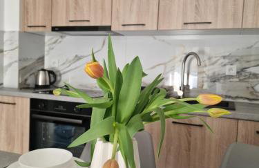 Apartament Jagiełły Park Olsztynek - Foto 3