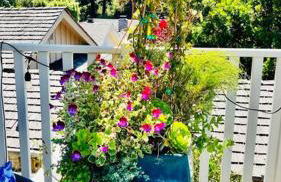 Gorgeous 3-bdrm home, walk to town and beach - Photo 42