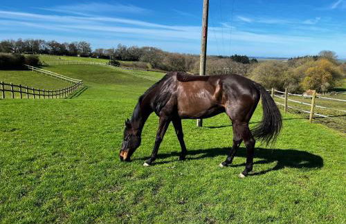 Byre - Farm Cottage on 9 acre Equestrian Small Holding - Photo 21