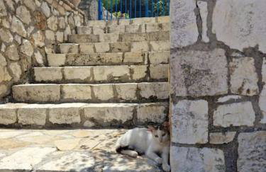 Mountain Breeze Cottage - Foto 33